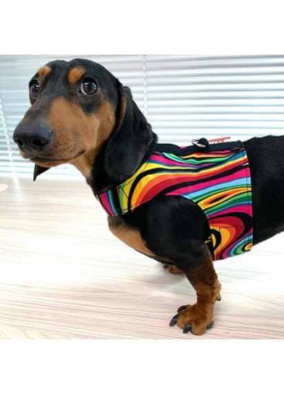 Easyfit Dog Harness - Size L 